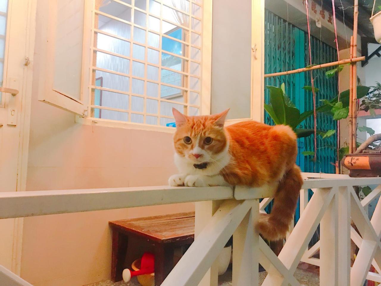 Qcub1 Homestay Ho Şi Min Dış mekan fotoğraf